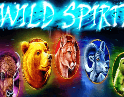 Wild Spirit kostenlos spielen