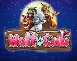 Wolf Club Online Kostenlos Spielen